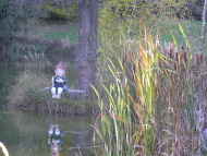 Vodník na rybníce